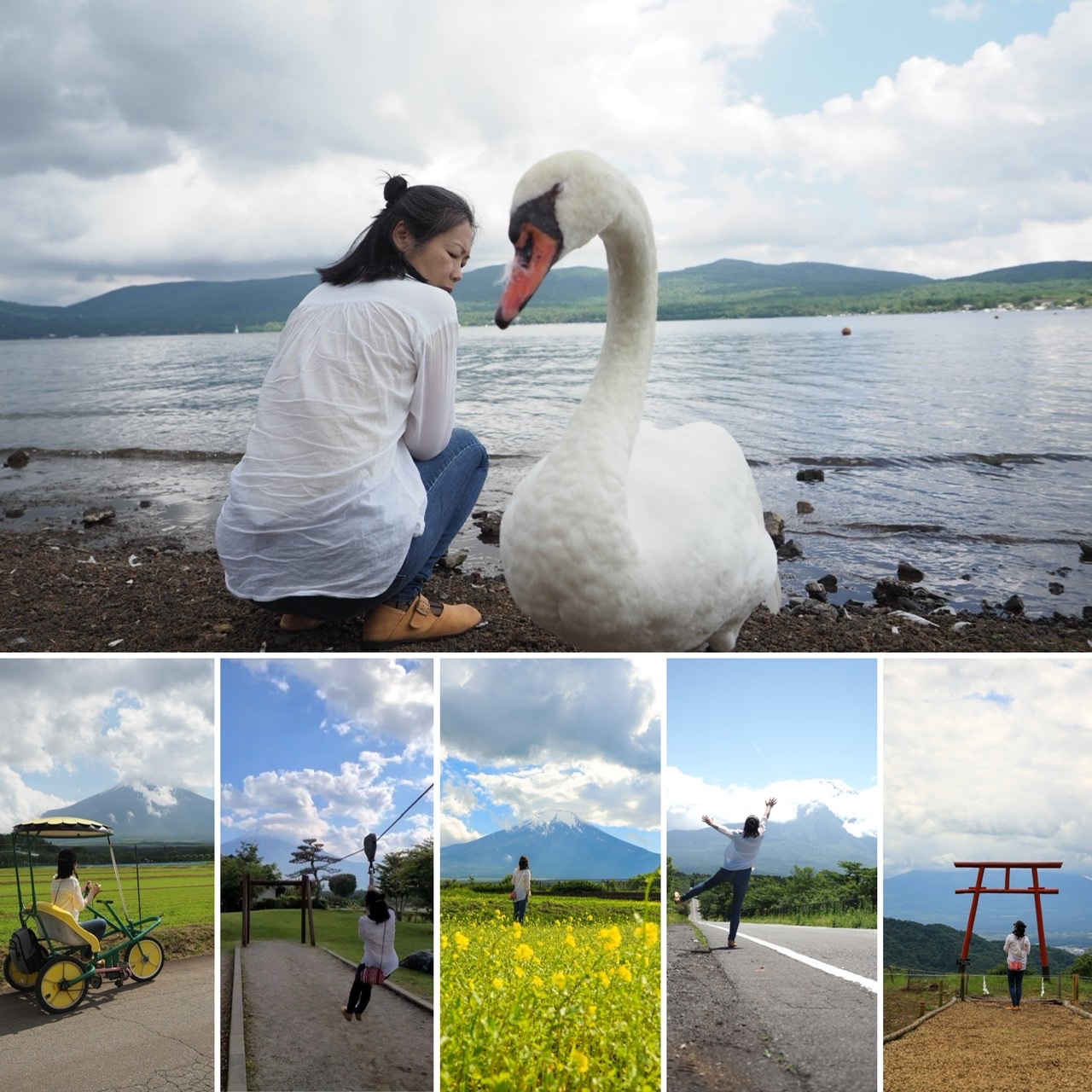 白鳥とﾜﾀｼ